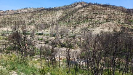 Vistas de Vilamora un año después del incendio