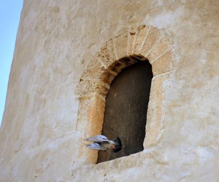 La torre tiene unas ventanas para refugio de las palomas.