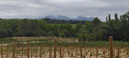 Heretat Oller del Mas.