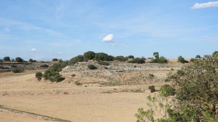 Reto visual: ¿Dónde están las dos águilas y el camino de los conejos?