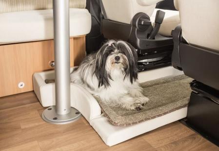 Es importante que el perro tenga su espacio en el vehículo para sentirse como en casa&nbsp;