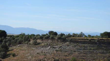 Solución al Reto visual del milano real.