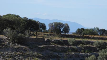La posición del milano real señalizada como solución al Reto visual.