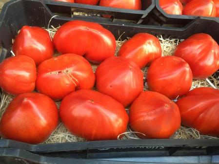 Tomate cor de bou de La casa de los tomates