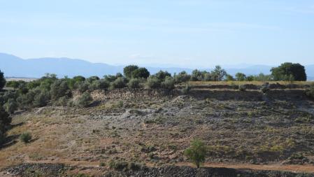 Reto visual: ¿Eres capaz de encontrar al milano real?