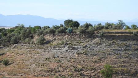 Solución al Reto visual del milano real.