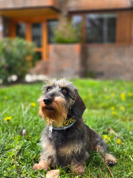 Muriel comparte su vida con el actor Pepe Ocio