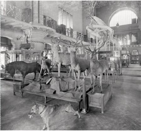 Un `período de 10 años como Museu de Biologia (1924-1934)