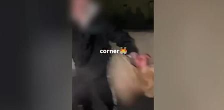 La tradicional fiesta de Los Quintos en Villamediana de Iregua, empañada por la comisión de diversos actos vandálicos y un grave caso de maltrato animal