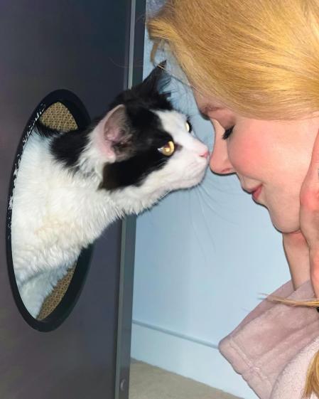 Nicole Kidman con su gato