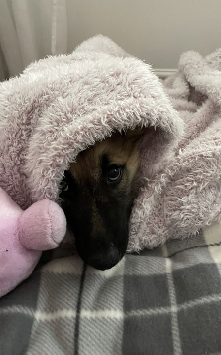 Tiene miedo a muchas cosas