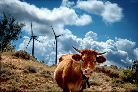 25082021  Teruel zona del Maestrazgo,reportaje sobre parques eólicos que afectan a la zona y los municipios de Castellote i Bordón, parque eólico  Tolellade ,Castellón limítrofe con Teruel