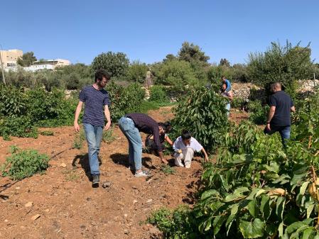 Ejemplo de voluntariado internacional responsable: jóvenes de diferentes países, trabajando en la construcción de una ecoaldea en Cisjordania (Palestina)