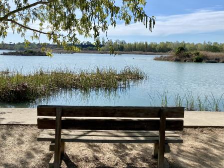 El estanque de Ivars y Vila-Sana es un remanso de paz