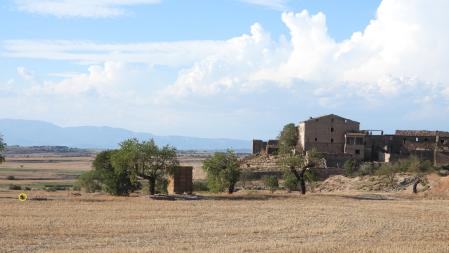 La posición del conejo señalizada.