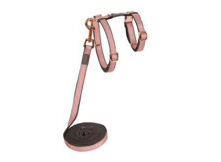 Rogz arnes+correa urbancat clj271-pb