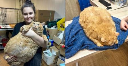 Kroshik, el protagonista de esta historia