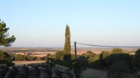 La posición del azor común señalizada.