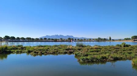 Montserrat vista desde el Parc de l'Agulla en un día de cielo azul y claro.