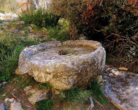 Piedras de un molino de aceite del siglo XII.