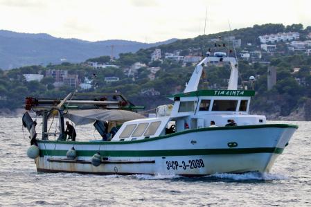 Pescadores de gambas llegando al puerto de Palamós. Imágenes de Miquel Galceran