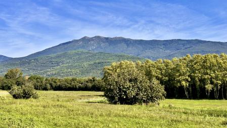 Camino entre el paisaje del Vallès Oriental.