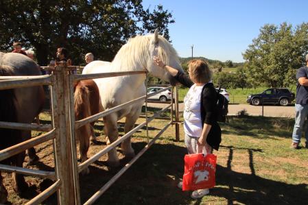 Fira de l'Hostal del Vilar.