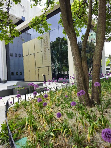 El remodelado Museo de Viena