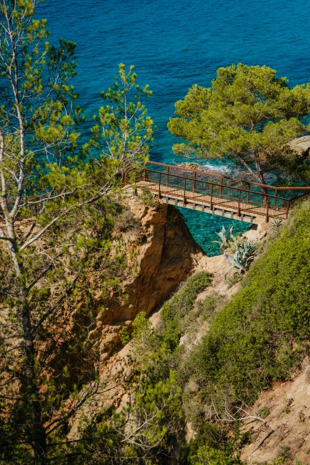 Excursiones otoño què fem