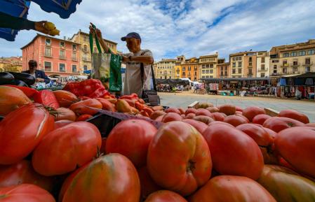 Parada de tomates en la Plaça del Mercat de Vic.