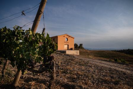 La bodega, desde el viñedo