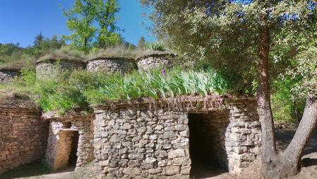 Las Tines de la Vall del Flequer antes del incendio.