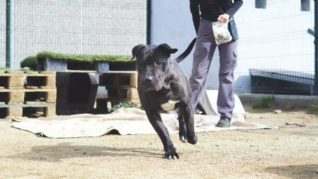 Xhek es muy simpático y guapo, aunque un poco inseguro