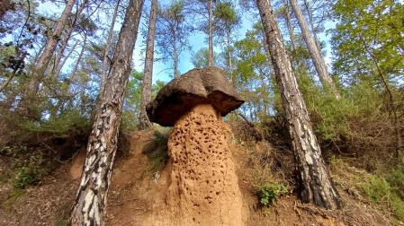 Seta gigante de piedra de la Riera de Merola.