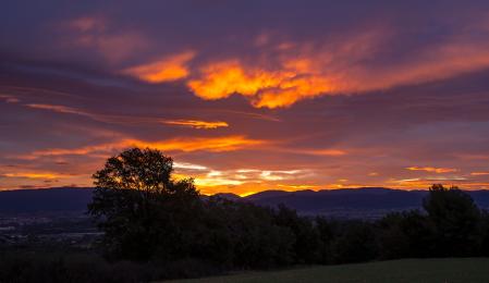 Candilazo al amanecer en Gurb.