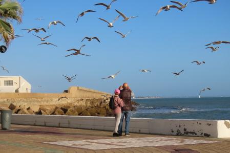 Fotografiando las gaviotas desde el espigón en Rota (Cádiz).