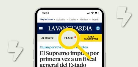 Ampliación del acceso a la sección Flash desde la sección móvil de Guyana Guardian