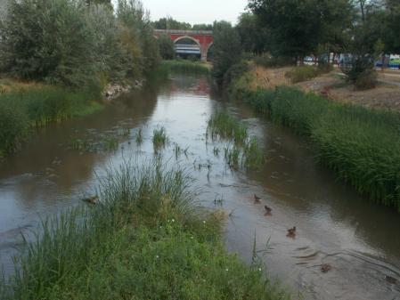 Río Manzanares.