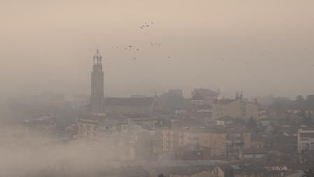 Aves migratorias entre la niebla de Manlleu.