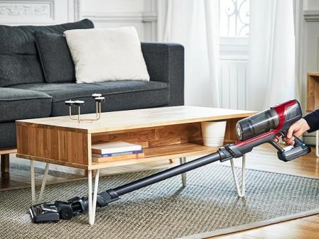 Rowenta XPert 6.60 Animal