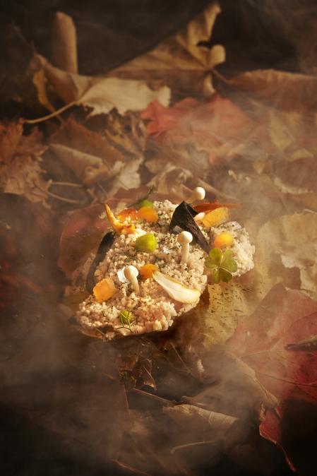 Catsaña con anguila