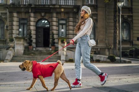 Un buen paseo al aire libre bajo la luz del sol puede hacer maravillas para levantar su ánimo