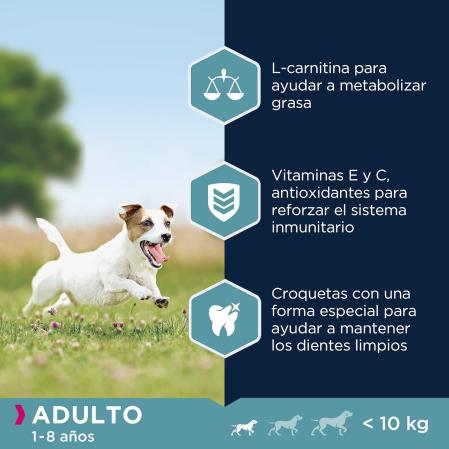 Alimento seco para perros adultos de raza Eukanuba (15 kg)