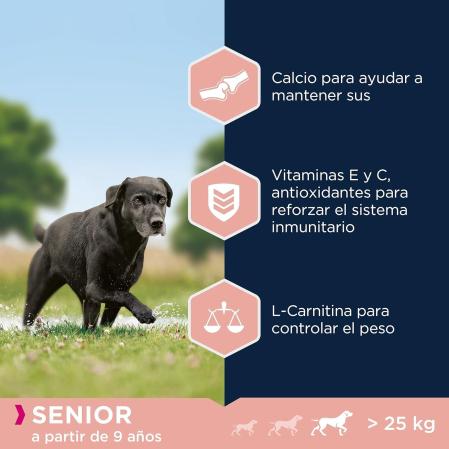 Comida seca para perros viejos de razas grandes Eukanuba (15 kg)