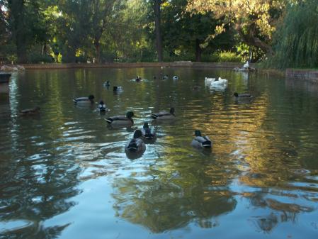 Otoño en el parque de El Retiro.