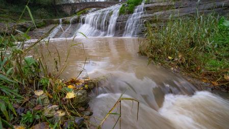 Santa Cecília de Voltregà.