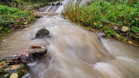 Santa Cecília de Voltregà.