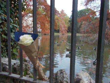 Los cipreses de los pantanos de El Retiro.