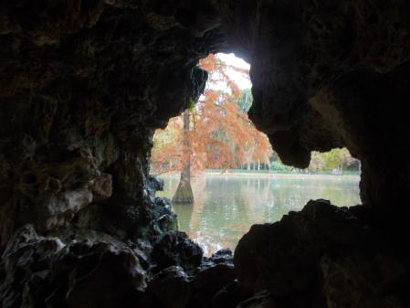 Los cipreses de los pantanos de El Retiro.