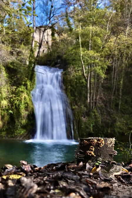 Gorg de la Malatosca.